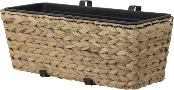 Raul, Blomkruka, natur, natur